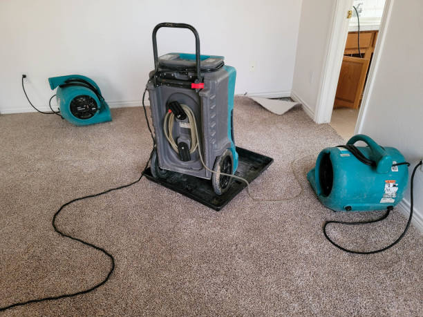  Brewster Hill, NY Water damage restoration Pros