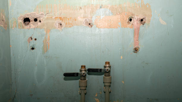 Best Sewage cleanup and water damage restoration  in Brewster Hill, NY